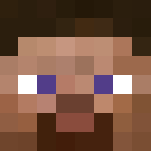 Official Minecraft Steve Character