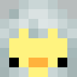 altair duck