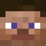 SteveMinecraf_t