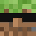 MLG Grass Block