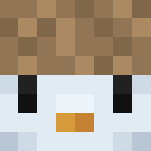 Bedwars skin