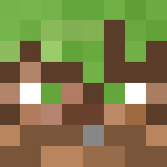 Grass block skin